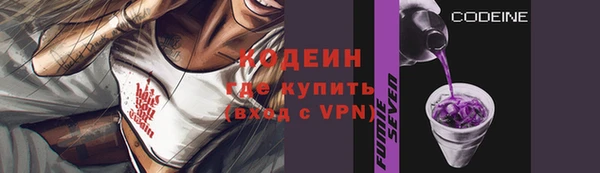 дживик Осинники