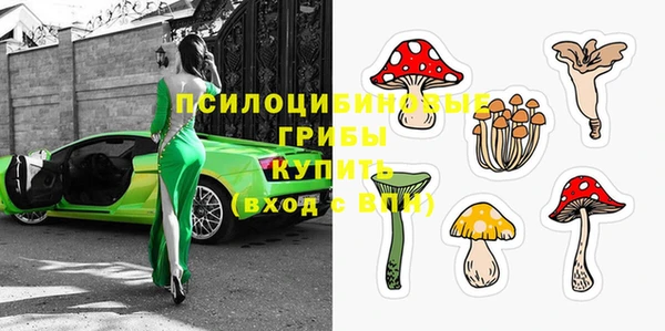 индика Пересвет